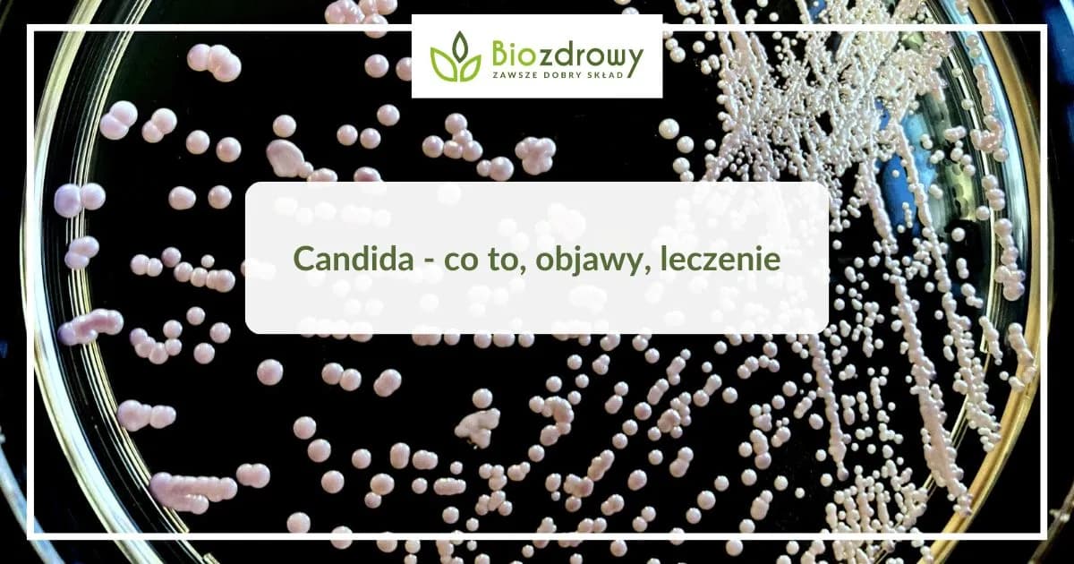 Candida objawy psychiczne: jak przerost grzybów wpływa na umysł