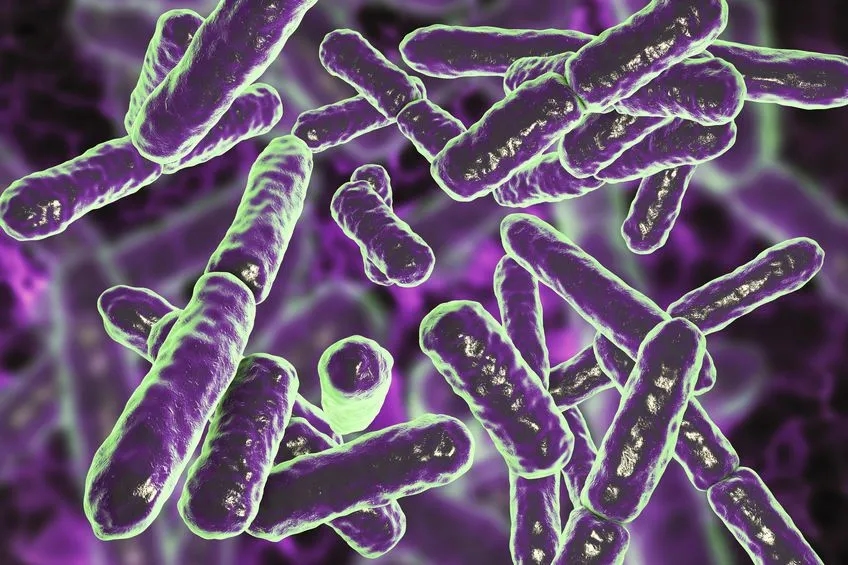 Zaburzona flora bakteryjna pochwy objawy - co musisz wiedzieć, aby uniknąć problemów