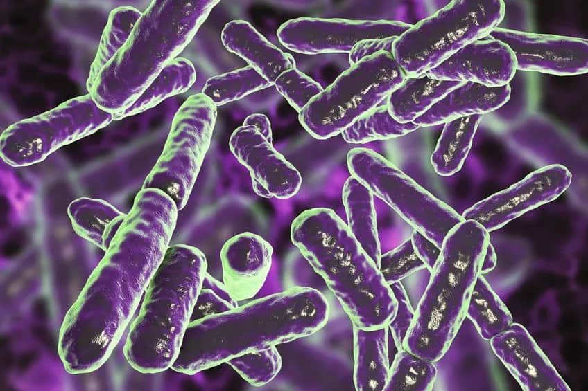 Zaburzona flora bakteryjna pochwy objawy - co musisz wiedzieć, aby uniknąć problemów