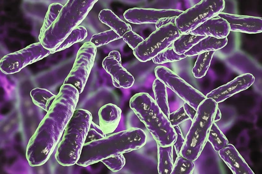 Zaburzona flora bakteryjna pochwy objawy - co musisz wiedzieć, aby uniknąć problemów